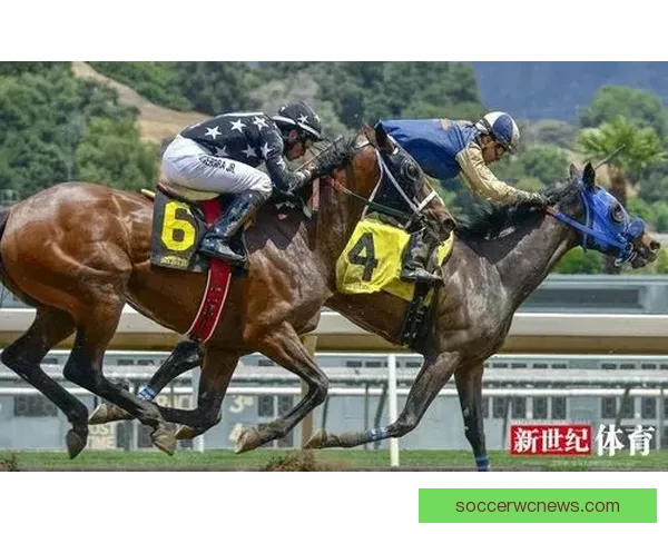 精准预测体育赛事 赢取大奖的最佳竞猜策略与技巧解析